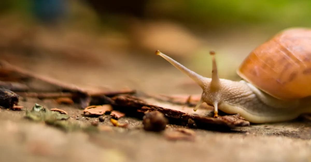 Busy mom preparing 5-minute prep slow cooker dinner in the morning